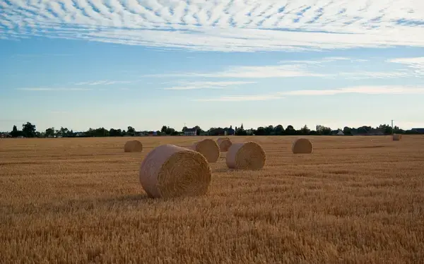 Borne de Recharge 27 Entreprise borne de recharge Tournedos-Bois-Hubert